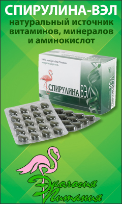 Экология Питания